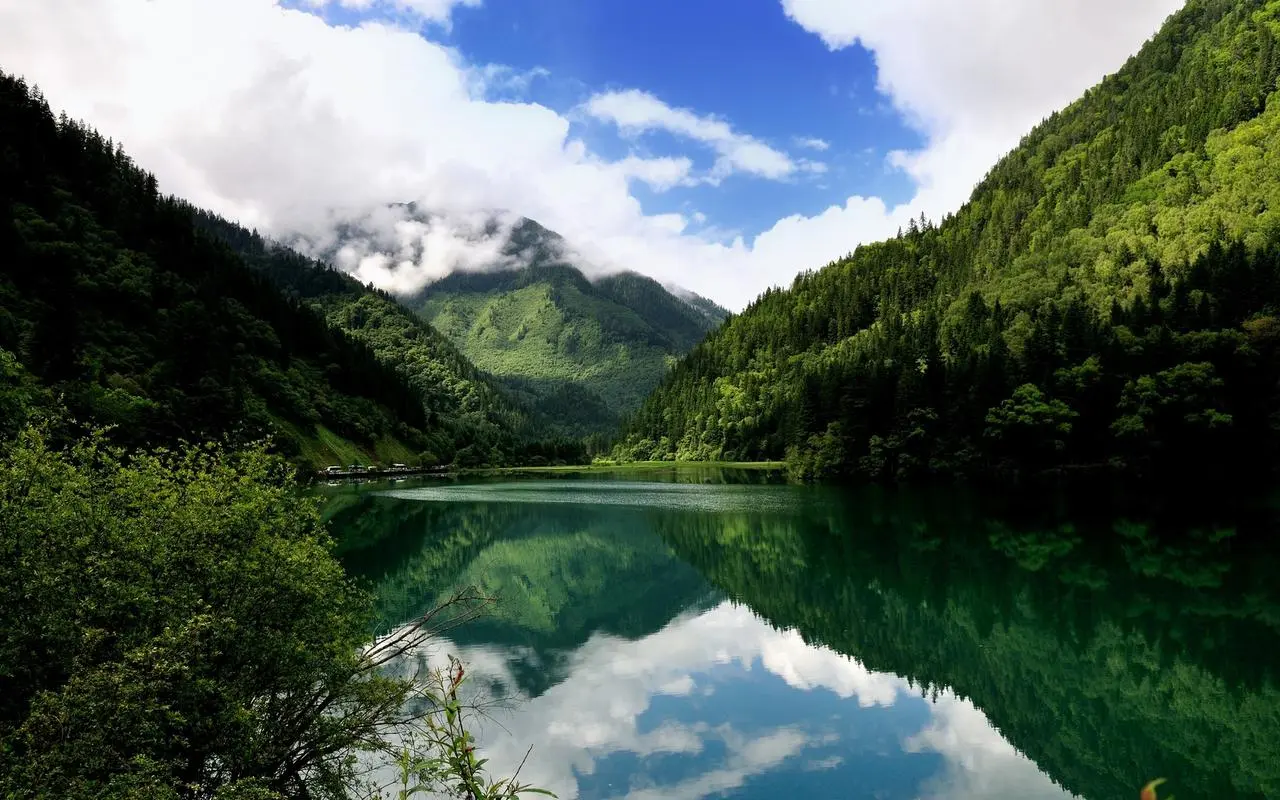 高性能高精度